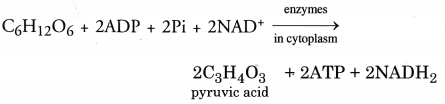 NCERT Exemplar Solutions for Class 10 Science Chapter 6 Life Processes image - 16