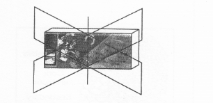 NCERT Exemplar Solutions for Class 11 Biology Chapter 6 Anatomy of Flowering Plants 1.12