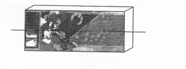 NCERT Exemplar Solutions for Class 11 Biology Chapter 6 Anatomy of Flowering Plants 1.13