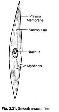 NCERT Exemplar Solutions for Class 9 Science Chapter 6 Tissues image - 11