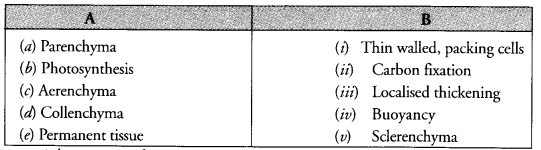 NCERT Exemplar Solutions for Class 9 Science Chapter 6 Tissues image - 2