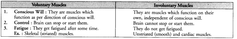 NCERT Exemplar Solutions for Class 9 Science Chapter 6 Tissues image - 5