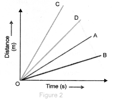 NCERT Exemplar Solutions for Class 9 Science Chapter 8 Motion image - 4