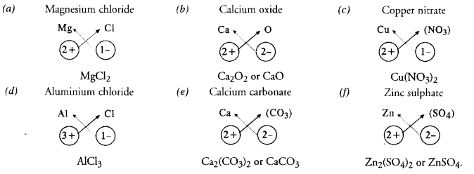 NCERT Solutions For Class 9 Science Chapter 3 Atoms and Molecules 10
