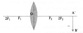 NCERT Solutions for Class 10 Science Chapter 10 प्रकाश परावर्तन और अपवर्तन छवि -19