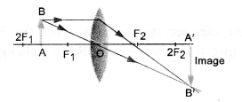 NCERT Solutions for Class 10 Science Chapter 10 Light Reflection and Refraction image -20