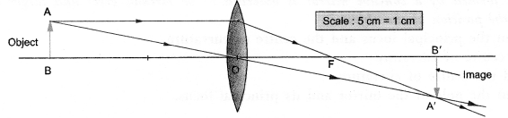 NCERT Solutions for Class 10 Science Chapter 10 प्रकाश परावर्तन और अपवर्तन छवि -7