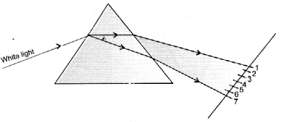 NCERT Solutions for Class 10 Science Chapter 11 Human Eye and Colourful World image - 12