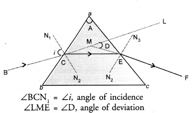 NCERT Solutions for Class 10 Science Chapter 11 Human Eye and Colourful World image - 7