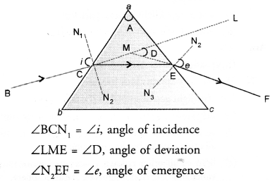 NCERT Solutions for Class 10 Science Chapter 11 मानव नेत्र और रंगीन दुनिया की छवि - 8