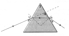 NCERT Solutions for Class 10 Science Chapter 11 मानव नेत्र और रंगीन दुनिया की छवि - 9