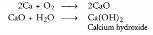 NCERT Solutions for Class 10 Science Chapter 3 धातु और अधातु की छवि - 6