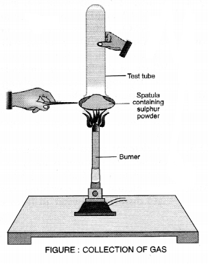 NCERT Solutions for Class 10 Science Chapter 3 Metals and Non-metals image - 8