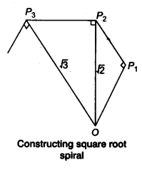 NCERT Solutions for Class 9 Maths Chapter 1 Number Systems Ex 1.2 img 2