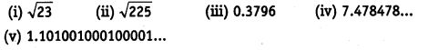 NCERT Solutions for Class 9 Maths Chapter 1 Number Systems Ex 1.3 img 9