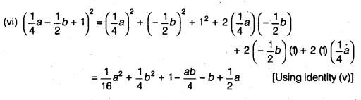 NCERT Solutions for Class 9 Maths Chapter 2 Polynomials Ex 2.5 img 2