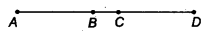 NCERT Solutions for Class 9 Maths Chapter 3 Introduction to Euclid's Geometry Ex 3.1 img 11