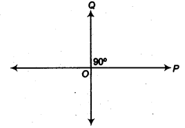 NCERT Solutions for Class 9 Maths Chapter 3 Introduction to Euclid's Geometry Ex 3.1 img 6