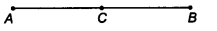 NCERT Solutions for Class 9 Maths Chapter 3 Introduction to Euclid's Geometry Ex 3.1 img 9