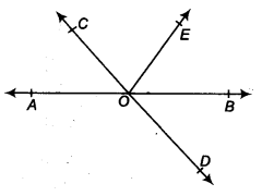 NCERT Solutions for Class 9 Maths Chapter 4 Lines and Angles Ex 4.1 img 1