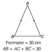 NCERT Solutions for Class 9 Maths Chapter 7 Heron's Formula Ex 7.1 img 8