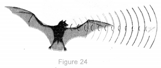 NCERT Solutions for Class 9 Science Chapter 12 Sound image - 10