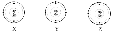 NCERT Solutions for Class 9 Science Chapter 4 Structure of the Atom image - 14