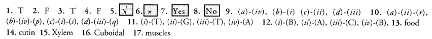 NCERT Solutions for Class 9 Science Chapter 6 Tissues image - 10