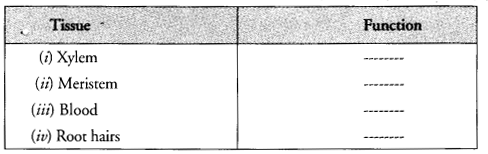 NCERT Solutions for Class 9 Science Chapter 6 Tissues image - 8