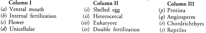 NCERT Solutions for Class 9 Science Chapter 7 Diversity in Living Organisms image - 6