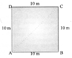 NCERT Solutions for Class 9 Science Chapter 8 Motion image - 1