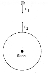 NCERT Solutions for Class 9 Science Chapter 9 Force and Laws of Motion image - 2