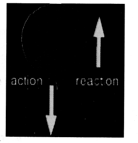 NCERT Solutions for Class 9 Science Chapter 9 Force and Laws of Motion image - 4