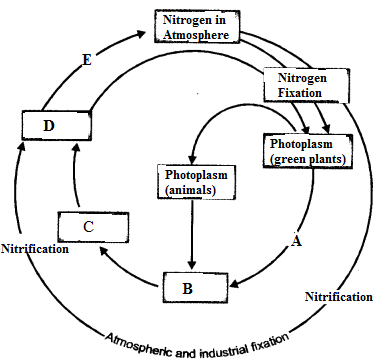 Natural Resources Class 9 Important Questions Science Chapter 14 image - 16