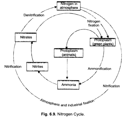 Natural Resources Class 9 Important Questions Science Chapter 14 image - 21