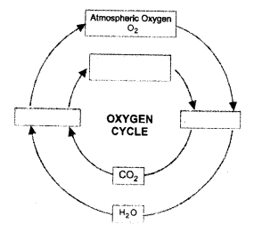 Natural Resources Class 9 Important Questions Science Chapter 14 image - 24