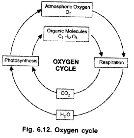 Natural Resources Class 9 Important Questions Science Chapter 14 image - 28