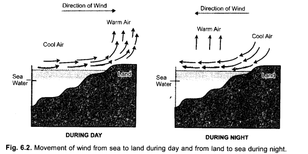 Natural Resources Class 9 Important Questions Science Chapter 14 image - 3