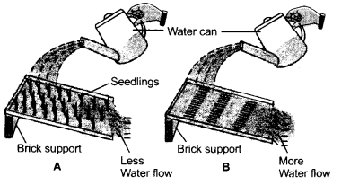 Natural Resources Class 9 Important Questions Science Chapter 14 image - 4