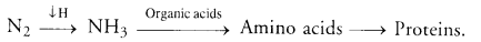 Natural Resources Class 9 Important Questions Science Chapter 14 image - 6