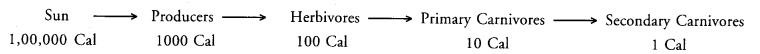 Our Environment Class 10 Important Questions Science Chapter 15 image - 12