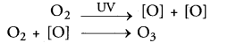 Our Environment Class 10 Important Questions Science Chapter 15 image - 14