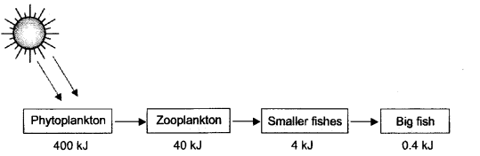 Our Environment Class 10 Important Questions Science Chapter 15 image - 4