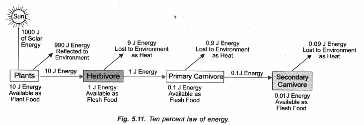 Our Environment Class 10 Important Questions Science Chapter 15 image - 6