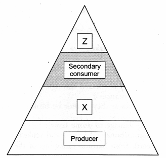 Our Environment Class 10 Important Questions Science Chapter 15 image - 7