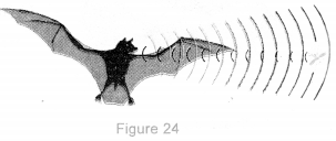 Sound Class 9 Important Questions Science Chapter 12 image - 18