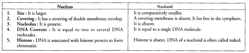The Fundamental Unit of Life Class 9 Important Questions Science Chapter 5 image - 11