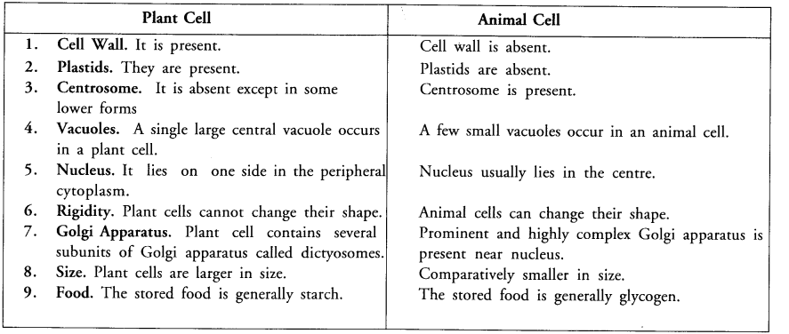 The Fundamental Unit of Life Class 9 Important Questions Science Chapter 5 image - 12