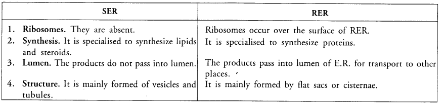 The Fundamental Unit of Life Class 9 Important Questions Science Chapter 5 image - 16