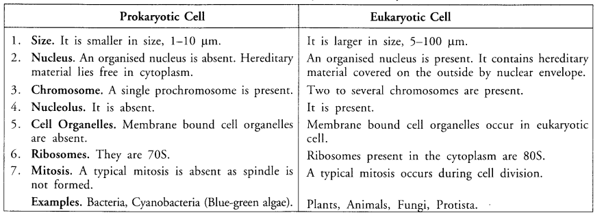 The Fundamental Unit of Life Class 9 Important Questions Science Chapter 5 image - 22